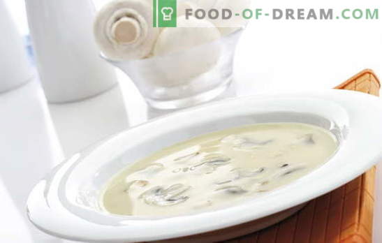 A sopa creme de champignon é um prato complexo mas acessível para todos os gostos. Sopa creme de cogumelos com diferentes variações da base