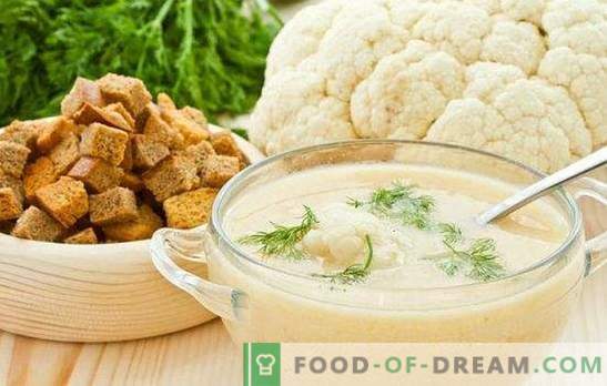 Sopa de purê de couve-flor: dietética e tenra. As melhores receitas de purê de couve-flor com queijo, carne, peixe