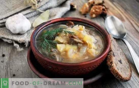 Satisfaça a sua casa com uma deliciosa sopa de couve fresca com cogumelos. Receitas para sopa de repolho fresco perfumado com cogumelos