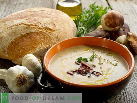 Sopa de cogumelos - as melhores receitas. Como corretamente e saboroso cozinhar sopa de cogumelos.