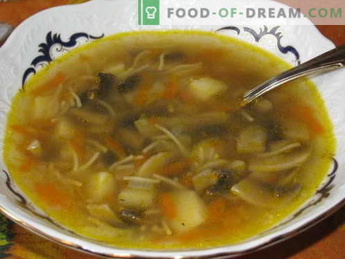 Sopa de cogumelos - as melhores receitas. Como corretamente e saboroso cozinhar sopa de cogumelos.