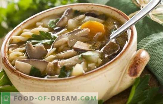 Sopa de cogumelos com cogumelos porcini - os mais preferidos! Receitas de sopa de cogumelos com porcini: com creme, macarrão, cevada, bacon
