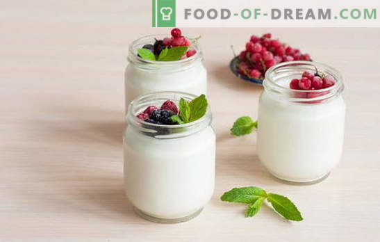 Como fazer iogurte em casa: tecnologia. Receitas de iogurte em casa: em um fabricante de iogurte, garrafa térmica, panela