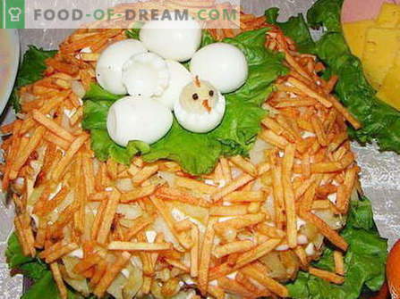 Salada de perdiz de madeira - as melhores receitas. Como preparar corretamente e deliciosamente um ninho de salada.