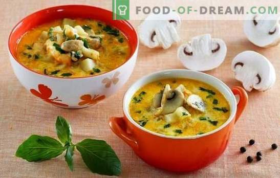 Sopa com champignons e queijo - mime sua família! Uma seleção das melhores receitas de sopa com champignons e queijo derretido