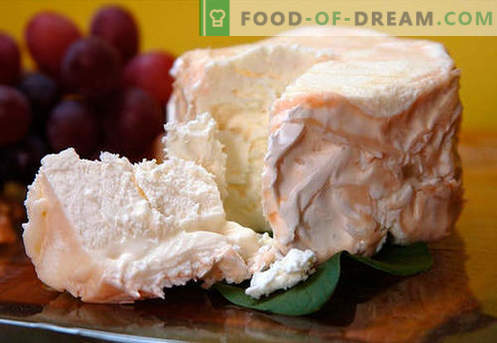 Queijo caseiro - as melhores receitas. Como corretamente e saboroso cozinhar queijo de queijo cottage ou leite em casa.