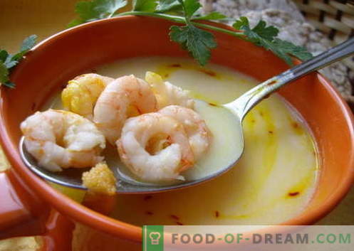 Sopa de camarão - as melhores receitas. Como corretamente e saboroso cozinhar sopa com camarão.