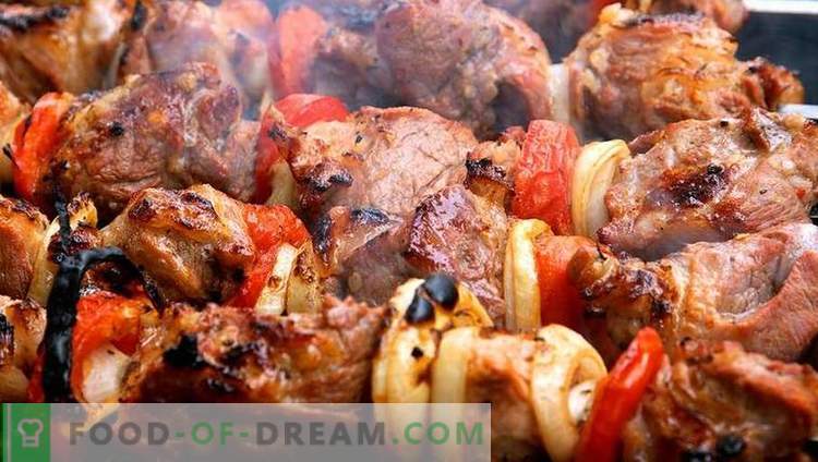 5 melhores marinadas para kebabs - selecione e cozinhe seus kebabs originais