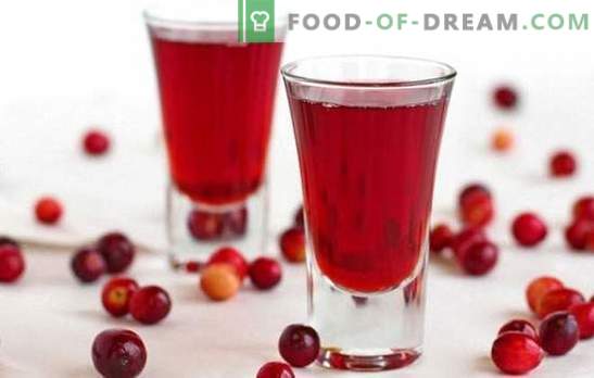 Enchimento de Cranberry em casa: incrível! Receitas interessantes e incomuns para licores de cranberry de artesãos domésticos