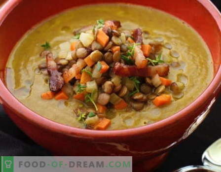 Sopa de lentilha - as melhores receitas. Como corretamente e saboroso cozinhar sopa de lentilha.