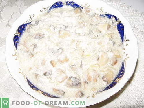 Champignons - as melhores receitas. Como cozinhar cogumelos e saboroso.
