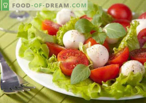 Salada com tomate e queijo - receitas culinárias comprovadas. Como preparar uma salada com tomate e queijo.