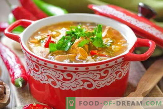 Sopa de frango kharcho - as melhores receitas. Como preparar corretamente e saboroso a sopa Kharcho de frango.