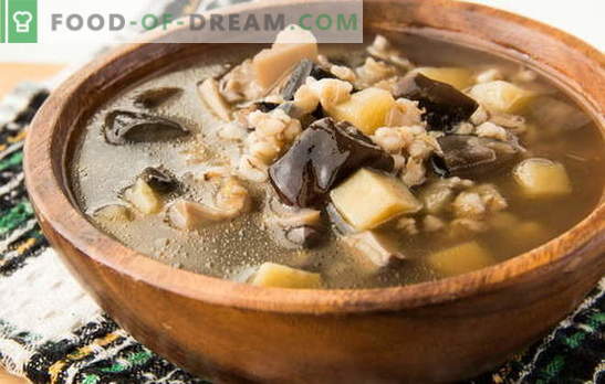 Sopa de cogumelo congelada - o aroma do outono! As melhores receitas de sopa de cogumelos congelados