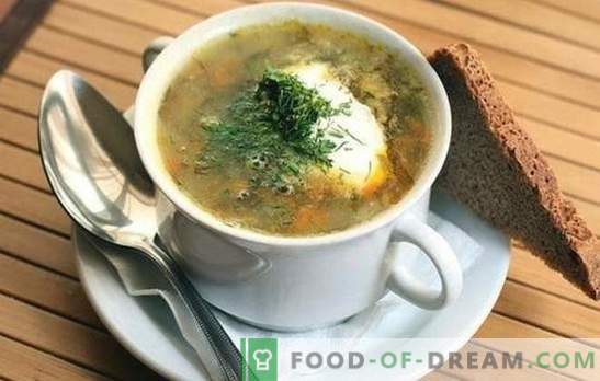 Sopa de chucrute: 10 das melhores receitas comprovadas. Os truques de cozinhar sopa de repolho de chucrute: com carne e cereais