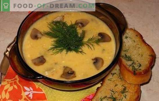 Sopa de queijo com cogumelos - delicadamente, saborosa, satisfatória. Receitas melhores sopas de queijo com cogumelos e frango, legumes e fumados