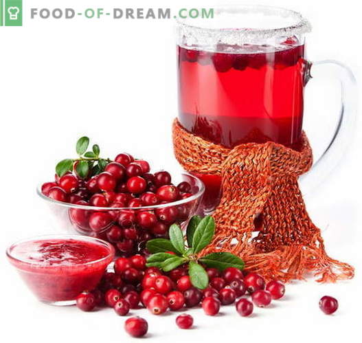 Suco de Cranberry - as melhores receitas. Como corretamente e saboroso suco de cranberry cozinhar.